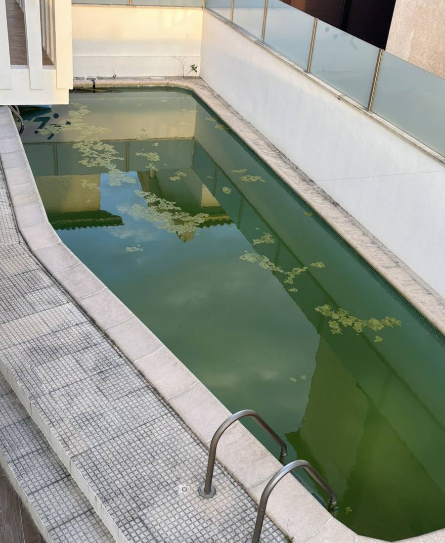 Piscina verde